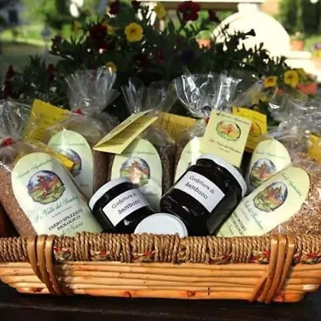 Farm stay Azienda Agrituristica La Valle Del Sambuco